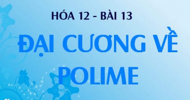 Polime là gì? Cách phân loại polime, Phản ứng trùng hợp và trùng ngưng điều chế polime - Hóa 12 bài 13